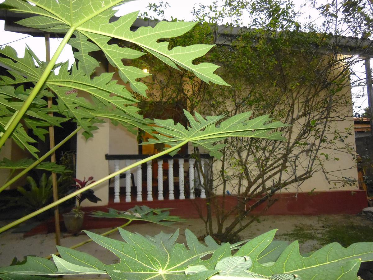 Mama'S Hostel By Taprobane Negombo Kültér fotó
